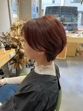 ショート カラー 透明感ハイトーン🦄 キラ🌈のヘアスタイル