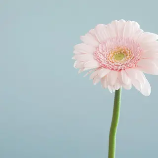 高岳/新栄町 yuu🌼の眉毛・アイブロウイメージ