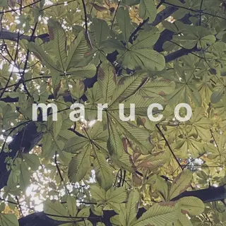 マツエク・マツパ なかむら 🪡のマツエク・マツパデザイン