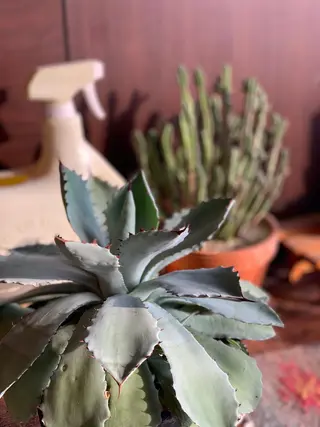 セミロング カラー Emma ecole所属・Emma ecole /栄/RIOのヘアスタイル