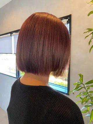 カラー 白井 音羽のヘアスタイル