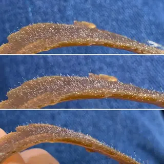 remercier【ルメルシェ】所属・Yamada Natsumiのマツエク・マツパデザイン