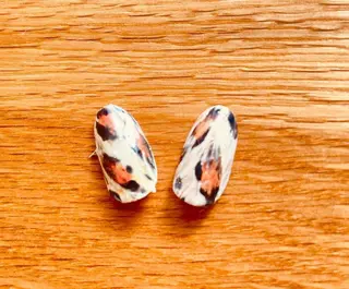 ネイル nail salon Be.のネイルデザイン