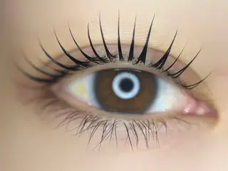 マツエク・マツパ Max salonのマツエク・マツパデザイン