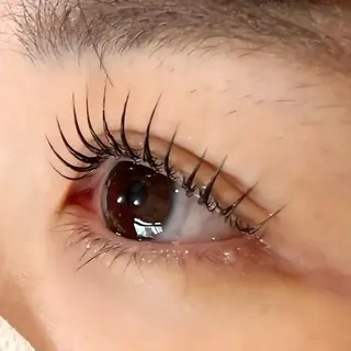 マツエク・マツパ 🧸Celeste Venusのマツエク・マツパデザイン