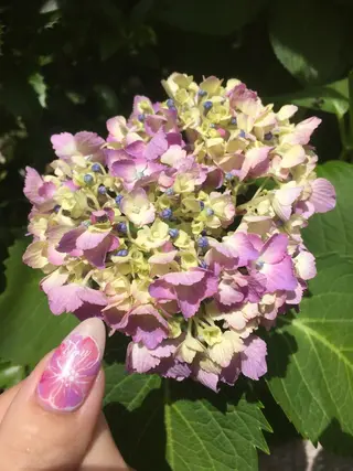 ネイル HIRATA RIEのネイルデザイン