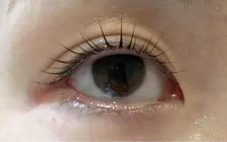 マツエク・マツパ Carrefour Noa🕊️上野店の眉毛・アイブロウイメージ