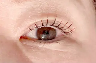 マツエク・マツパ 櫻井 佑美のマツエク・マツパデザイン