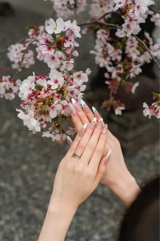 ネイル Primavera 新横浜🤍美フォルムのネイルデザイン