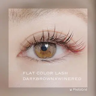マツエク・マツパ colors💐 《岐阜》のマツエク・マツパデザイン
