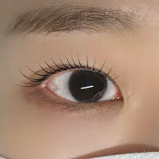 マツエク・マツパ 垢抜け眉WAX専門 ちゅるんまつげ|鎌倉の眉毛・アイブロウイメージ