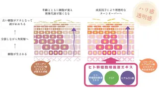 プレイス天王寺店 【肌質改善/ハーブ】のエステ・リラクイメージ