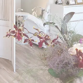 マツエク・マツパ .mel 【ドットメル】のマツエク・マツパデザイン