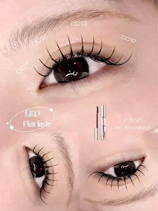 マツエク・マツパ 韓国まつげ🩶美眉 /AYANEのマツエク・マツパデザイン