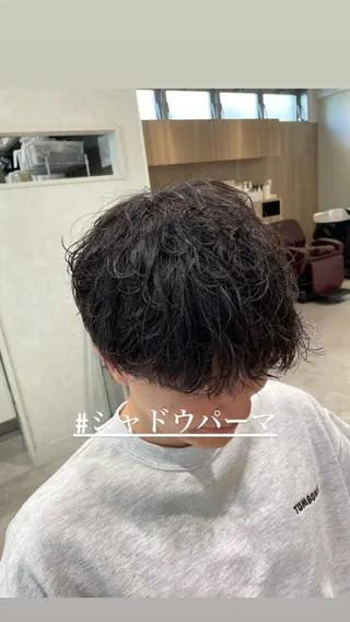 パーマ メンズ 白髪ぼかしデザイン ハイライト/宮本純登のヘアスタイル