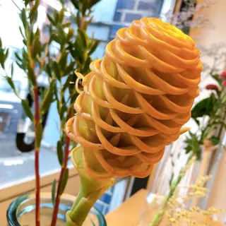 マツエク・マツパ なかむら 🪡のマツエク・マツパデザイン