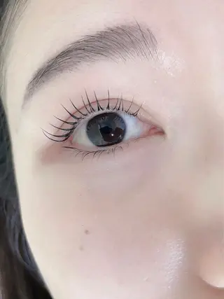 マツエク・マツパ プル eyelashのマツエク・マツパデザイン