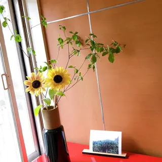 マツエク・マツパ なかむら 🪡のマツエク・マツパデザイン