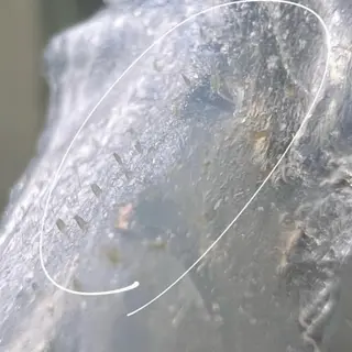 お顔を美しく魅せる 眉毛専門店ディアリーの眉毛・アイブロウイメージ