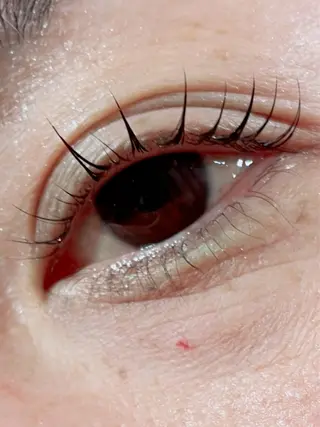 マツエク・マツパ Anjir(アンジール)所属・完全個室サロン Anjirのエステ・リラクイメージ