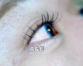 マツエク・マツパ Ａ&Ｅ所属・西岡 /マツエク/束感🎀のマツエク・マツパデザイン