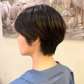 ショート ショートカット / 銀座/ 青山莉奈のヘアスタイル