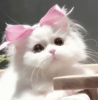 マツエク・マツパ 🎀eyelist. mizuki🐈‍⬛の眉毛・アイブロウイメージ