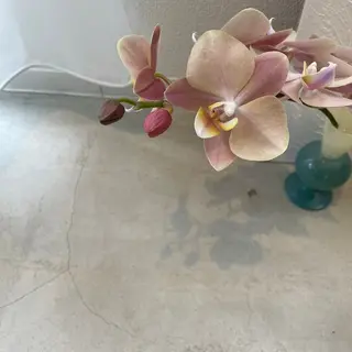 アイブロウ タカシマ ユウカのマツエク・マツパデザイン