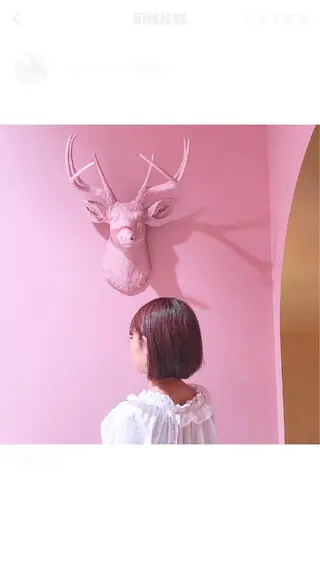 ショート カラー Eyelash Salon BiBiのマツエク・マツパデザイン