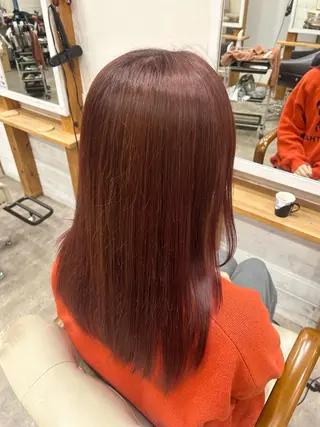 セミロング 袈叶 ✨のヘアスタイル