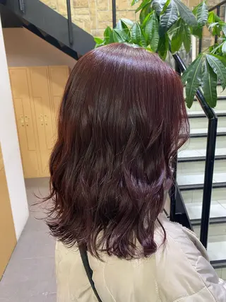セミロング カラー ヘアアレンジ TSUNA 🌙 Lim 五反田のマツエク・マツパデザイン