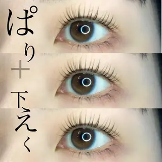 マツエク・マツパ 《eyelash ｉｉｔｅ》森のマツエク・マツパデザイン