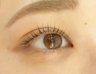 マツエク・マツパ Lien 川崎店【リアン】所属・LUANATOKYO 🫧武蔵小杉のマツエク・マツパデザイン