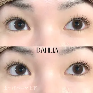 マツエク・マツパ Dahliaダリア 斉藤のマツエク・マツパデザイン