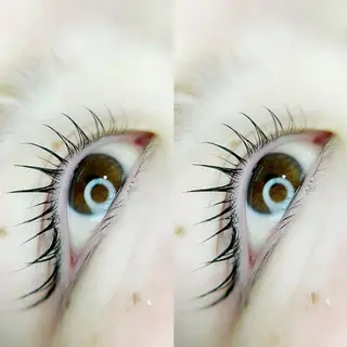 マツエク・マツパ ISSUE+ beautyのマツエク・マツパデザイン