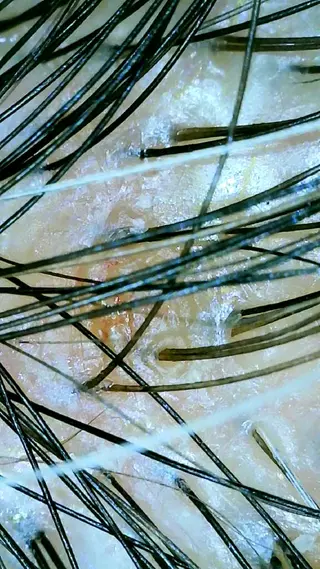 ヘッドスパ／耳つぼ Laby.spaのヘアスタイル