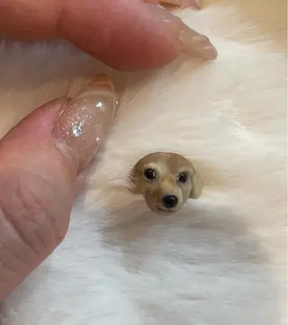 ネイル 髙橋 優菜のネイルデザイン