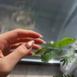 ネイル 稲森 真由のネイルデザイン