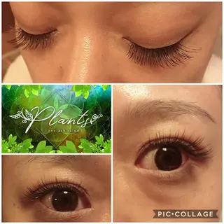 マツエク・マツパ Plants　斧田 ひろみのマツエク・マツパデザイン