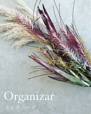 organizar オルガニーザのエステ・リラクイメージ