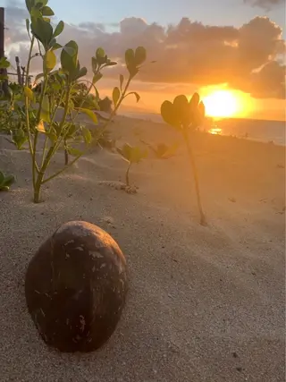 マツエク・マツパ NOA 🏝🌞のマツエク・マツパデザイン
