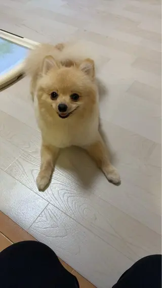 紙屋 隼人のヘアスタイル