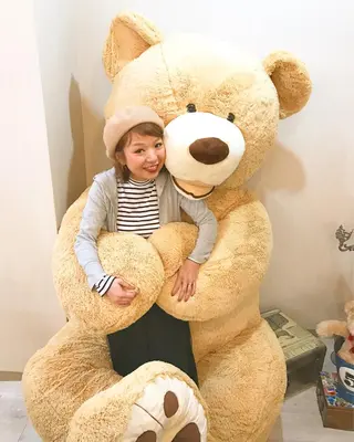 ショート テディ teddyのヘアスタイル