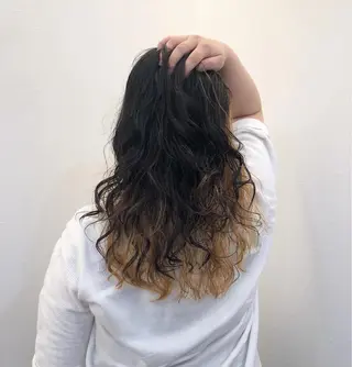 パーマ ツノガイ エリのヘアスタイル