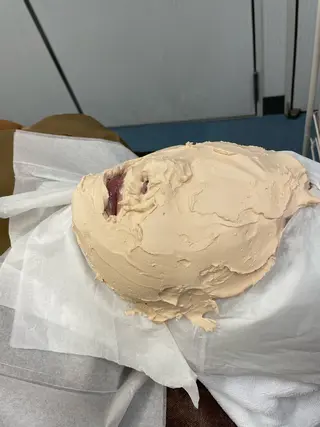 Surien 水脇ゆうのその他イメージ