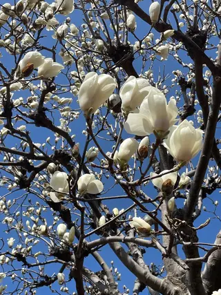 プライベートサロン 花水月のエステ・リラクイメージ