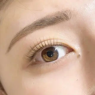 マツエク・マツパ AnD'GRACE 竹中の眉毛・アイブロウイメージ