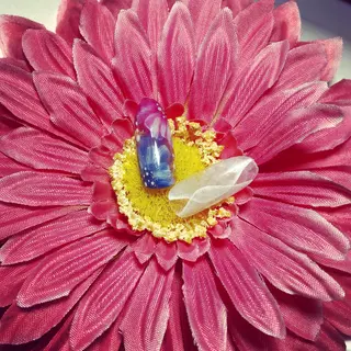 ネイル ✴︎ Delightのネイルデザイン