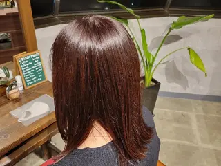 セミロング 山口 そらのヘアスタイル