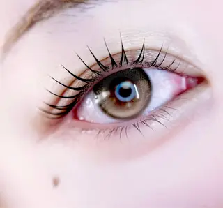マツエク・マツパ 🎀eyelist. mizuki🐈⬛の眉毛・アイブロウイメージ